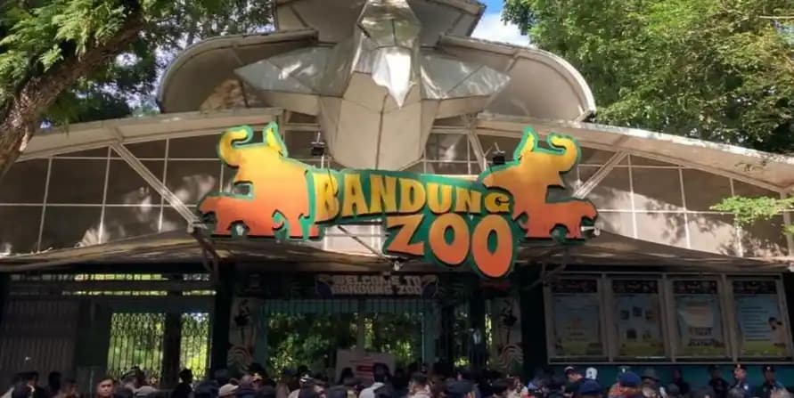 Kemenhut mencabut  izin lembaga konservasi pengelola Bandung Zoo