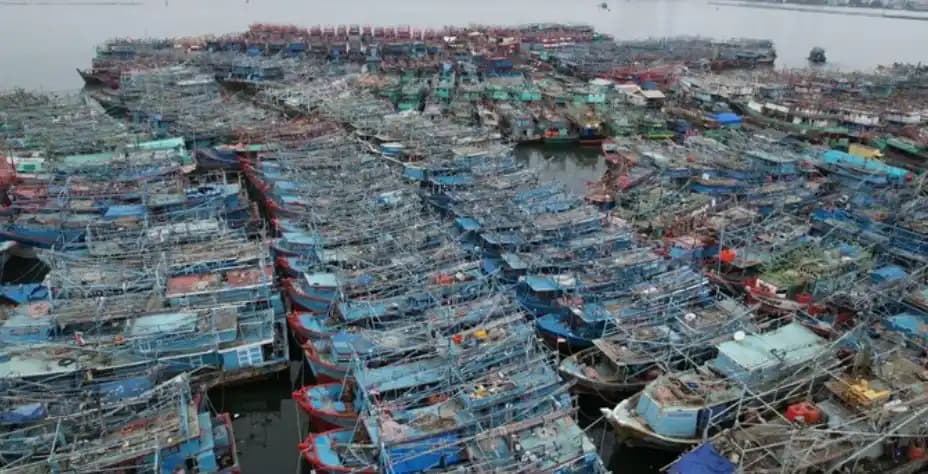 Kepadatan Kapal Perikanan di Muara Angke