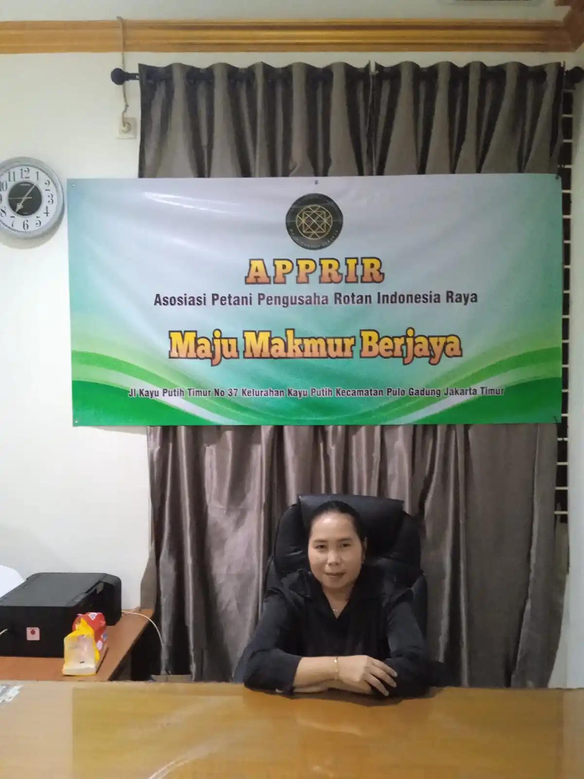 Ketua Umum APRRIR, Hindaru