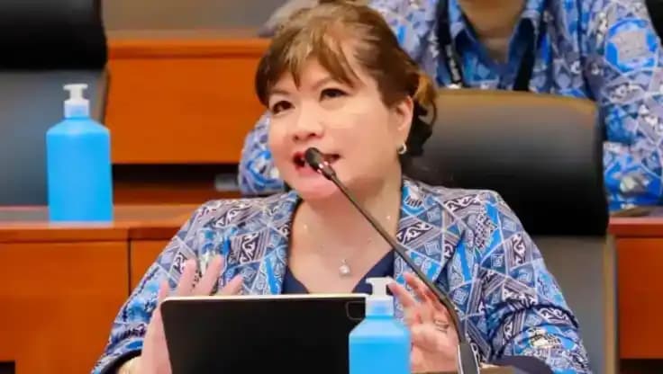 Ketua Umum Asosiasi Pengusaha Indonesia (Apindo), Shinta Kamdani