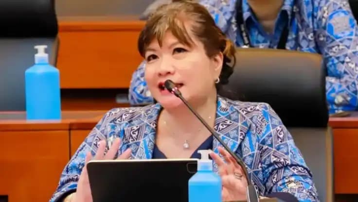Ketua Umum Asosiasi Pengusaha Indonesia (Apindo), Shinta Kamdani