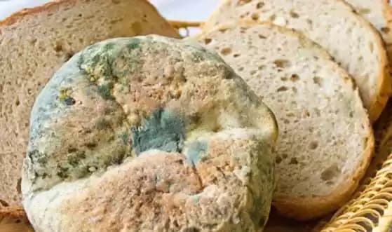 Korupsi Biskuit Stunting