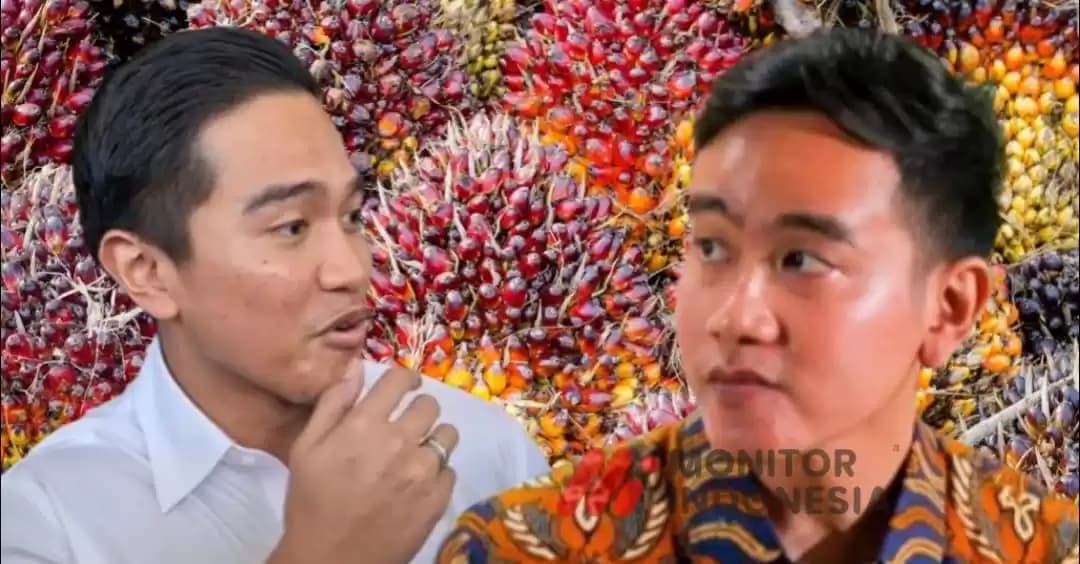 Korupsi Dana Sawit Gibran dan Kaesang