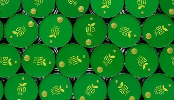 Korupsi Dana sawit Menyelimuti BPDPKS