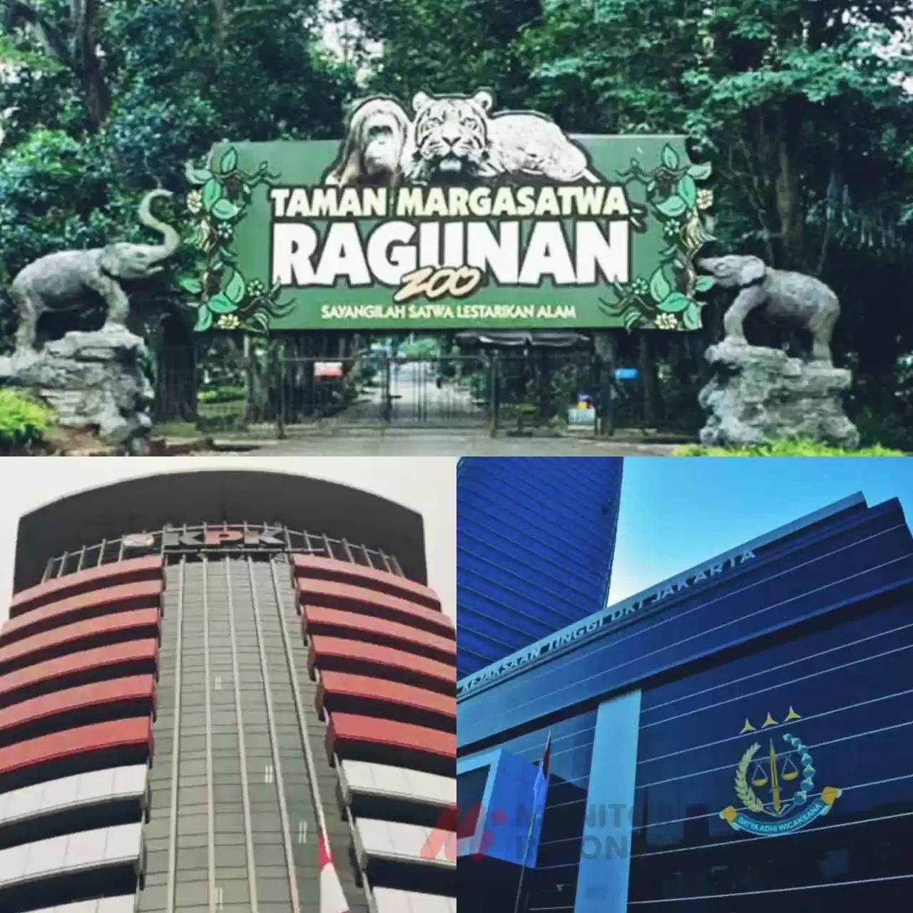 Korupsi di Ragunan siapa yang bakal diusut KPK atau Kejati DKI Jakarta