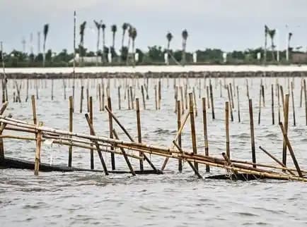 Korupsi Pagar Laut