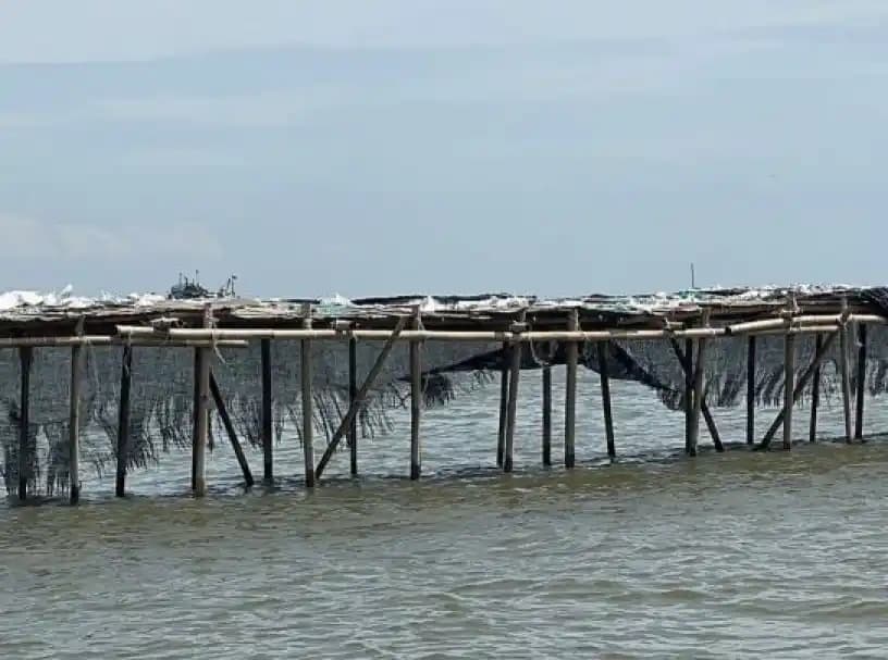 Korupsi Pagar Laut