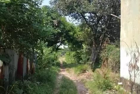 Lahan kosong di dekat SMPN 11 Cirebon ini menjadi saksi bisu kekejian yang dilakukan geng motor terhadap Vina dan pacarnya pada tahun 2016