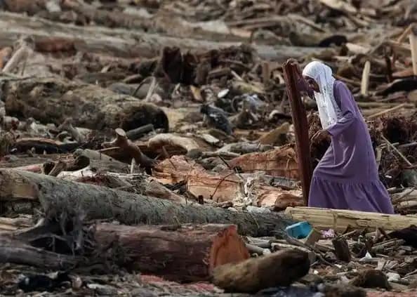 Mantan Hakim Ini Desak Satgas PKH Tangkap Pengusaha Perusak Hutan
