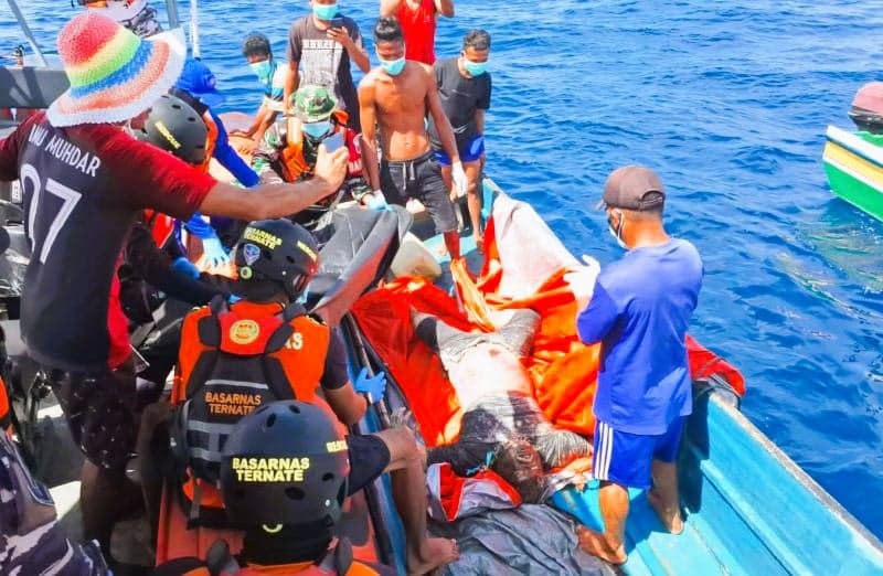 Polda Maluku Utara Tetapkan Pemilik Motoris Speedboat Sebagai Tersangka