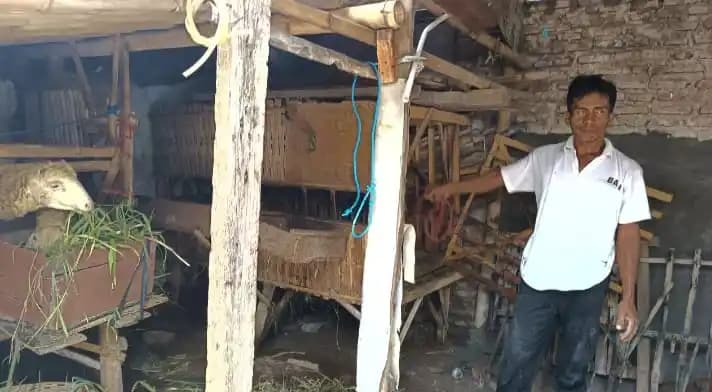 Modus Pencuri Kambing, Jebol Tembok Marak di Kota Probolinggo