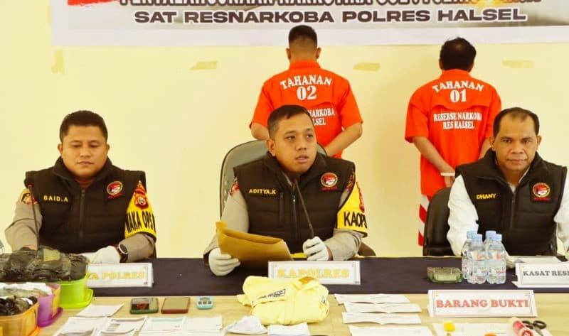 Dua Pemuda Pengedar 2 Kg Ganja di Halmahera Selatan Diringkus polisi