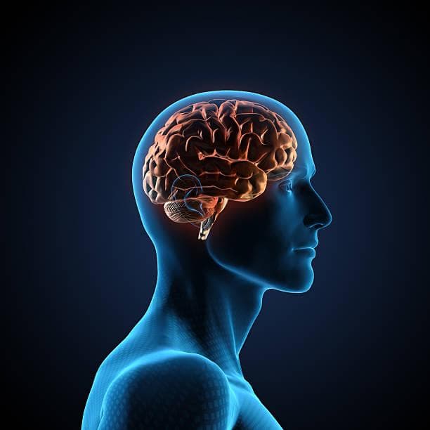 Neuralink Milik Elon Musk Diizinkan Uji Coba Tanam Chip ke Otak Manusia