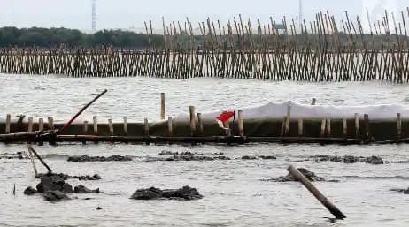 Pagar Laut
