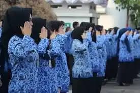 Pegawai Negeri Sipil (PNS)