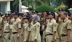 Pegawai Negeri Sipil (PNS)