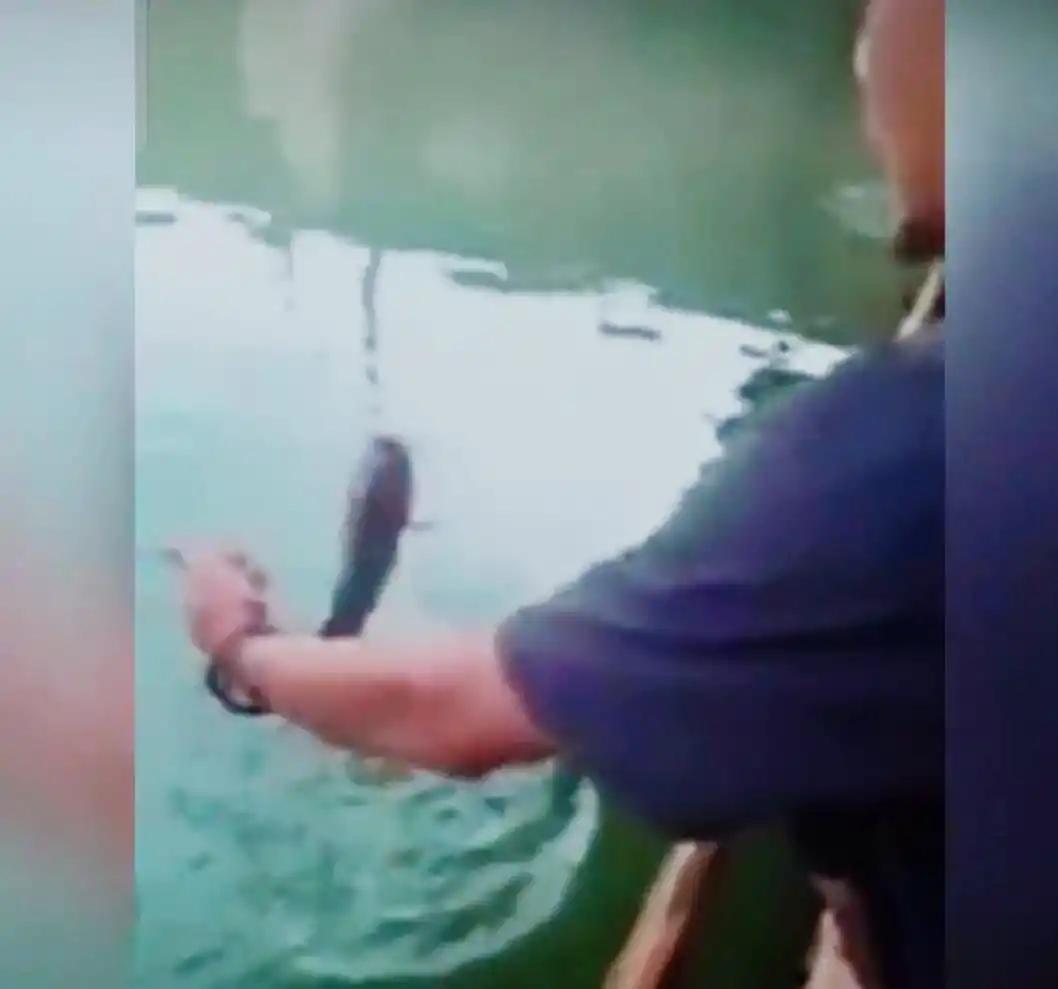 Pemancing viral