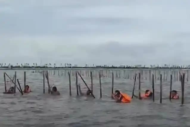 Pembongkaran Pagar Laut