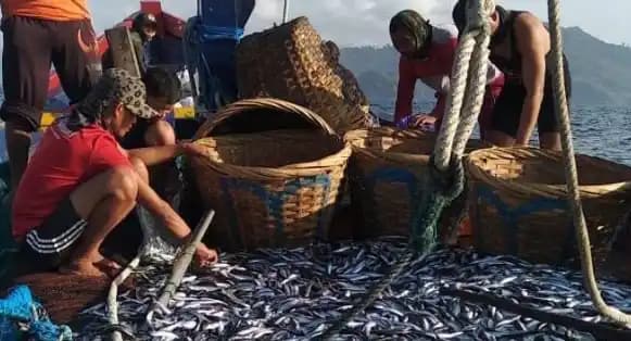 Penerimaan Negara Bukan Pajak (PNBP) dari Sektor Perikanan Tangkap Mencapai Rp966,02 Miliar