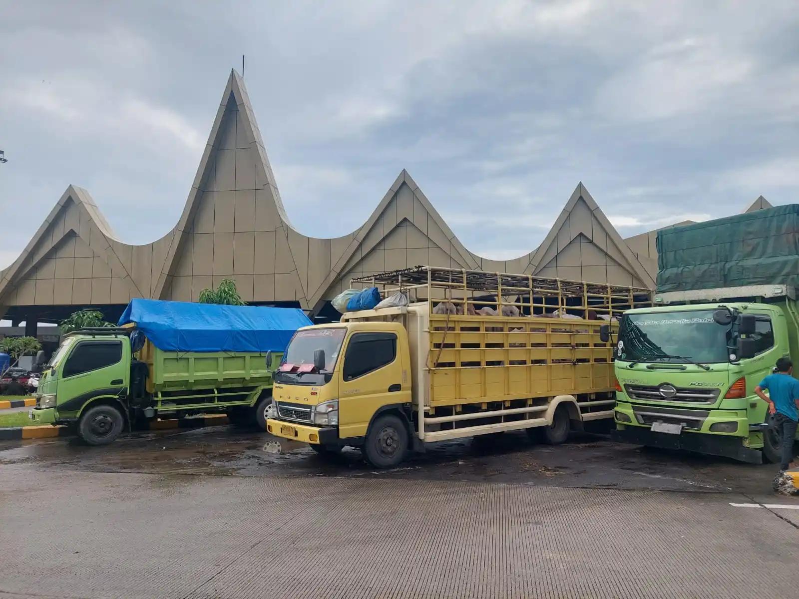 Pengemudi Truk Harus Jadi Perhatian Pemerintah, 60 Persen Pengemudi ODOL Pernah Alami Kecelakaan
