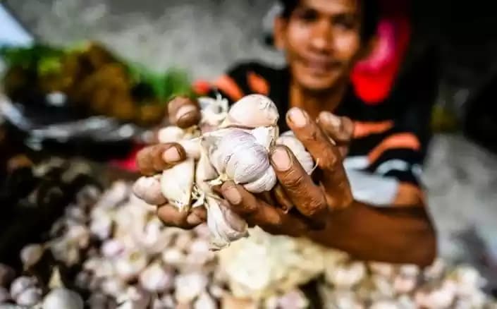 Penjual Bawang putih