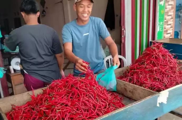 penjual cabai