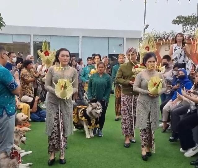 Sosok yang Gelar Pernikahan Anjing Rp200 Juta, Benarkah Jabat Tim Stafsus Presiden?