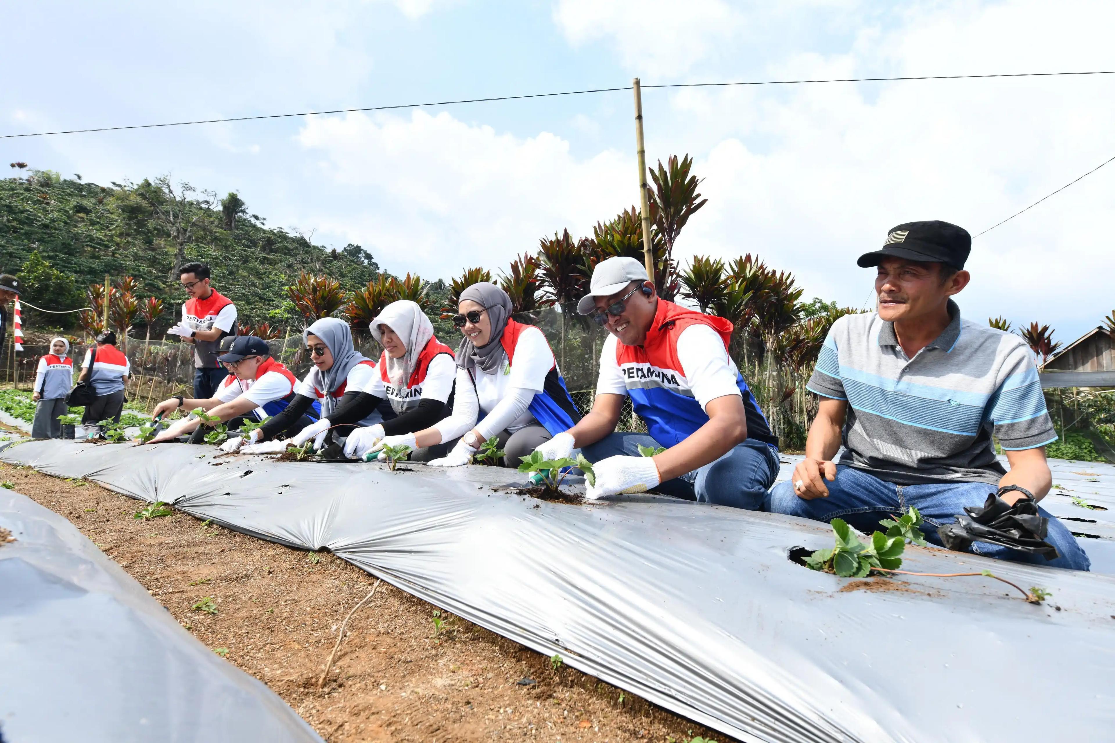 Pertamina-Desa Energi Berdikari