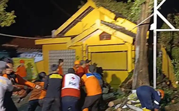 Petugas gabungan melakukan penanganan terhadap pohon tumbang