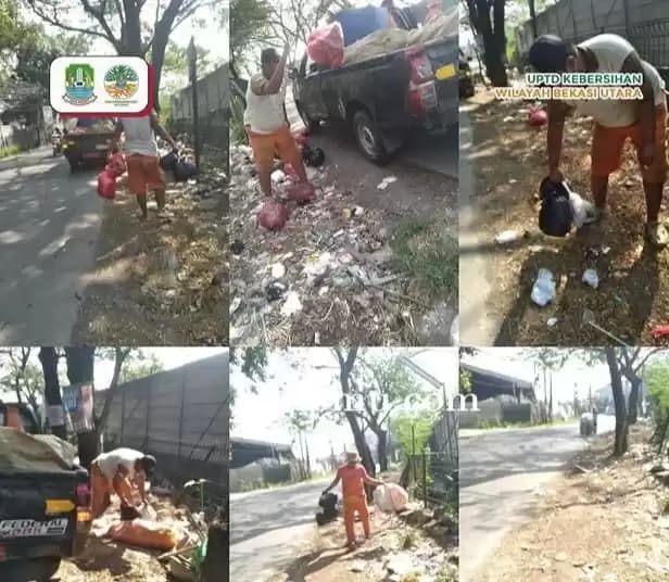 Petugas Kebersihan Dinas LH Sedang Bersih-Bersih Sampah