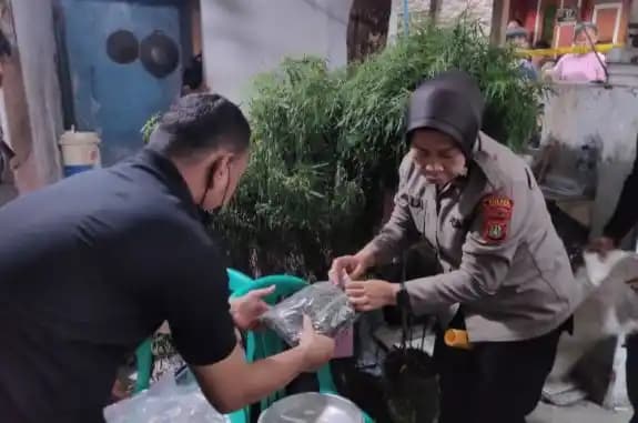 Polisi sita pohon ganja