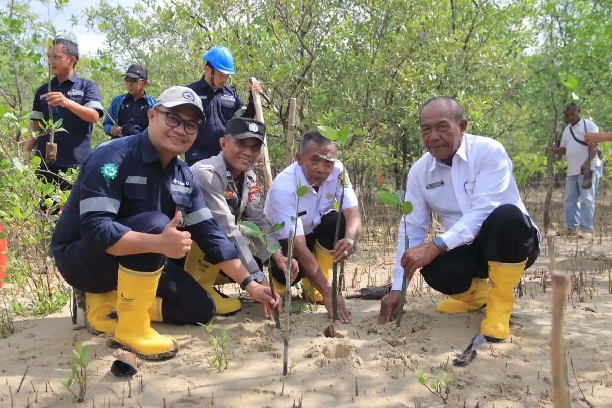 PT Timah-Mangrove