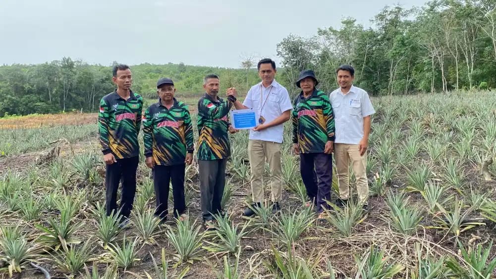 PT Timah-Petani Kundur