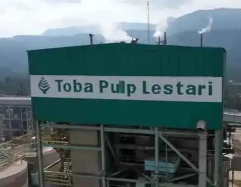 Ini Alasan Toba Pulp Lestari Bakal PHK Karyawan Mulai 12 Mei