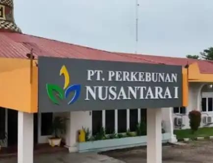 PTPN I