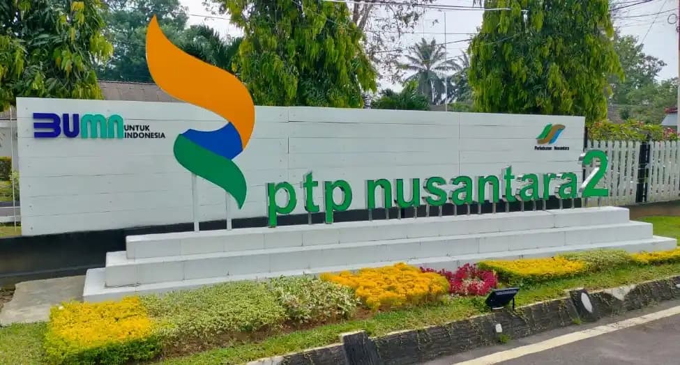 PTPN II Kelebihan Pembayaran Success Fee Konsultan Hukum Rp 8,2 M