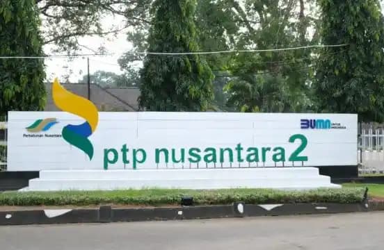 PTPN II