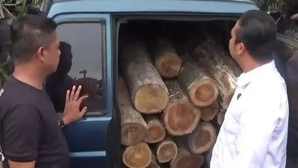 Ratusan Kayu Jati Disita dari 2 Pelaku Pembalakan Liar di Ngawi