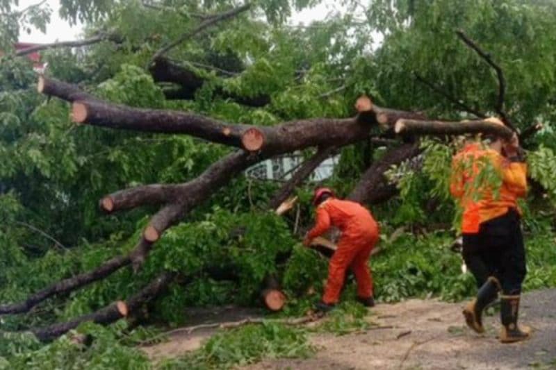 BPBD Subang: Waspadai Angin Puting Beliung dan Longsor di Musim Hujan
