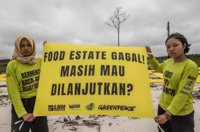 spanduk kuning lebar dibentangkan tepat di lahan Proyek Strategis Nasional (PSN) untuk program ketahanan pangan food estate yang berlokasi di desa Tewai Baru, Kabupaten Gunung Mas, Kalimantan Tengah (Kalteng)