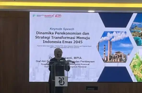 Staf Ahli Kementerian Perencanaan Pembangunan Nasional/Badan Perencanaan Pembangunan Nasional (PPN/Bappenas) Bidang Sinergi Ekonomi dan Pembiayaan, Siliwanti
