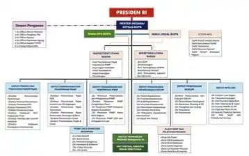 Struktur Badan Penerimaan Negara yang akan Dibentuk Prabowo