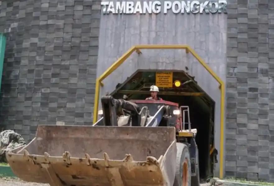 Tambang emas Pongkor