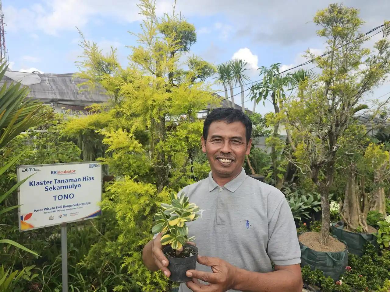 Tanaman Hias Binaan BRI