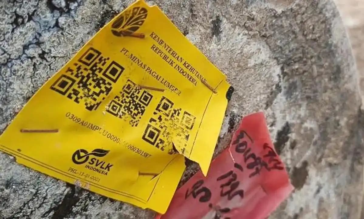 Temuan Kayu Berstiker Kemenhut di Lampung