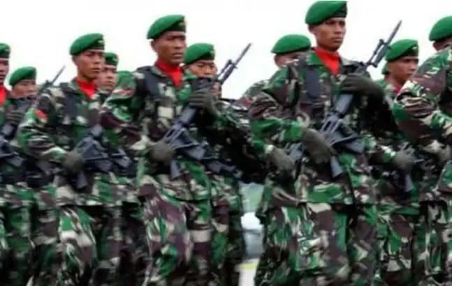 TNI Angkatan Darat (AD) akan merekrut 24.000 tamtama