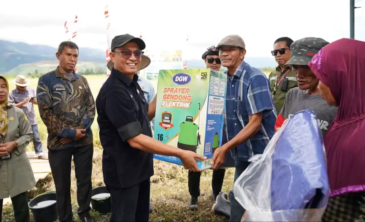Tugas Perdana! Pj Sekda AKA: Panen Padi vs Kirisis Pangan