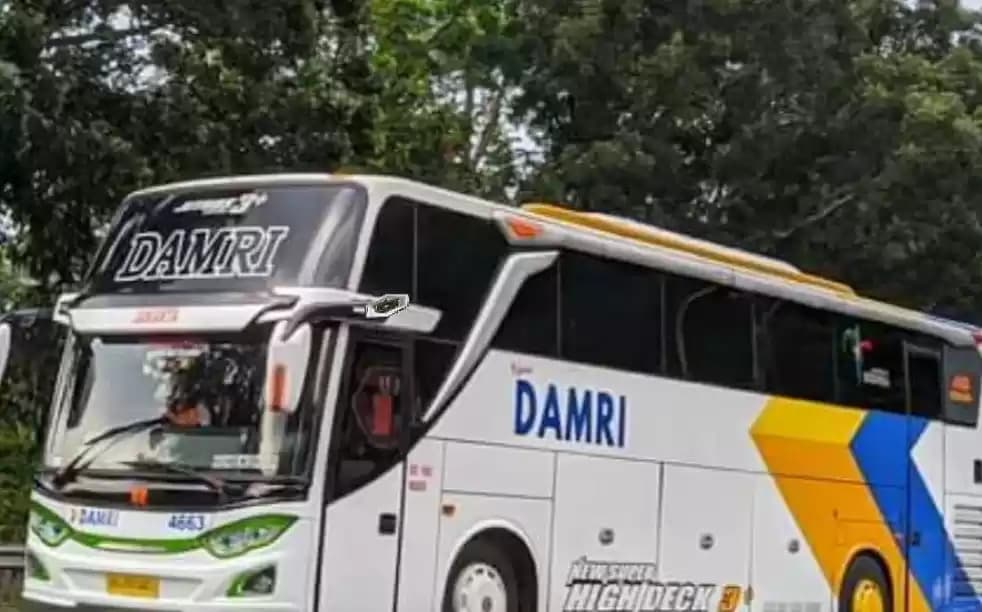 Tunggakan Gaji Eks Karyawan Tak Dibayar, Rasa Kemanusiaan dan Tanggung Jawab Direksi DAMRI Dimana?