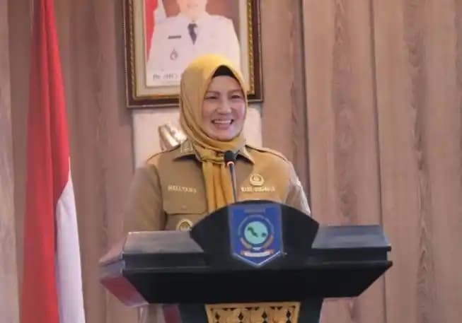 Wakil Gubernur Bangka Belitung, Hellyana