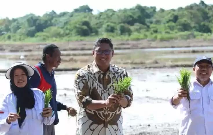 Wakil Menteri Pertanian (Wamentan) Sudaryono